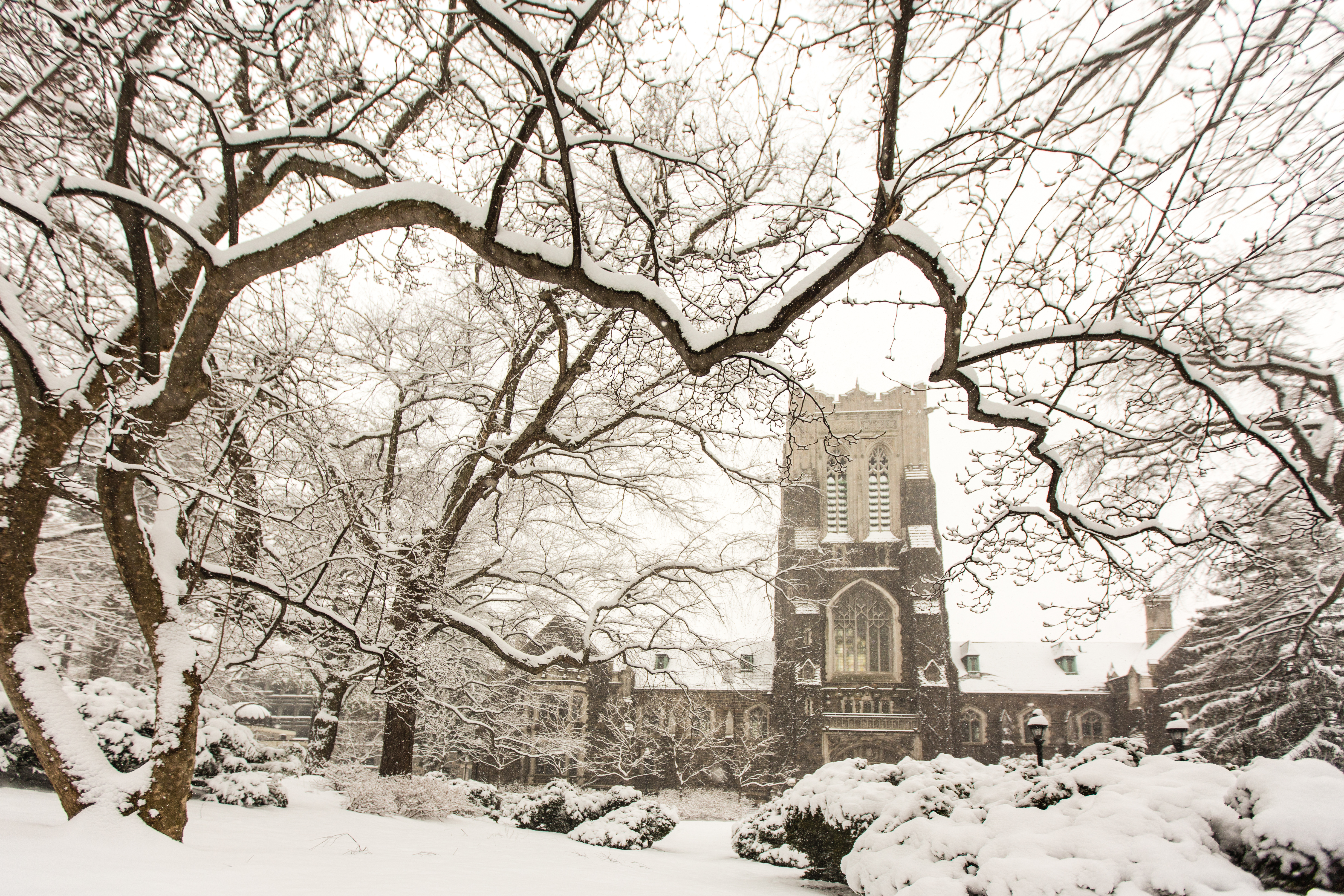 snow on campus
