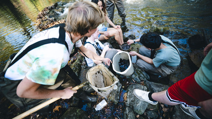 students studying wildlife in the water